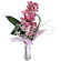 орхидея с цветами в вазе. Греция